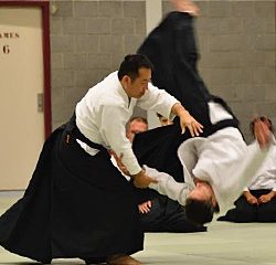 公益財団法人合気会 本部道場指導部 佐々木 貞樹 師範